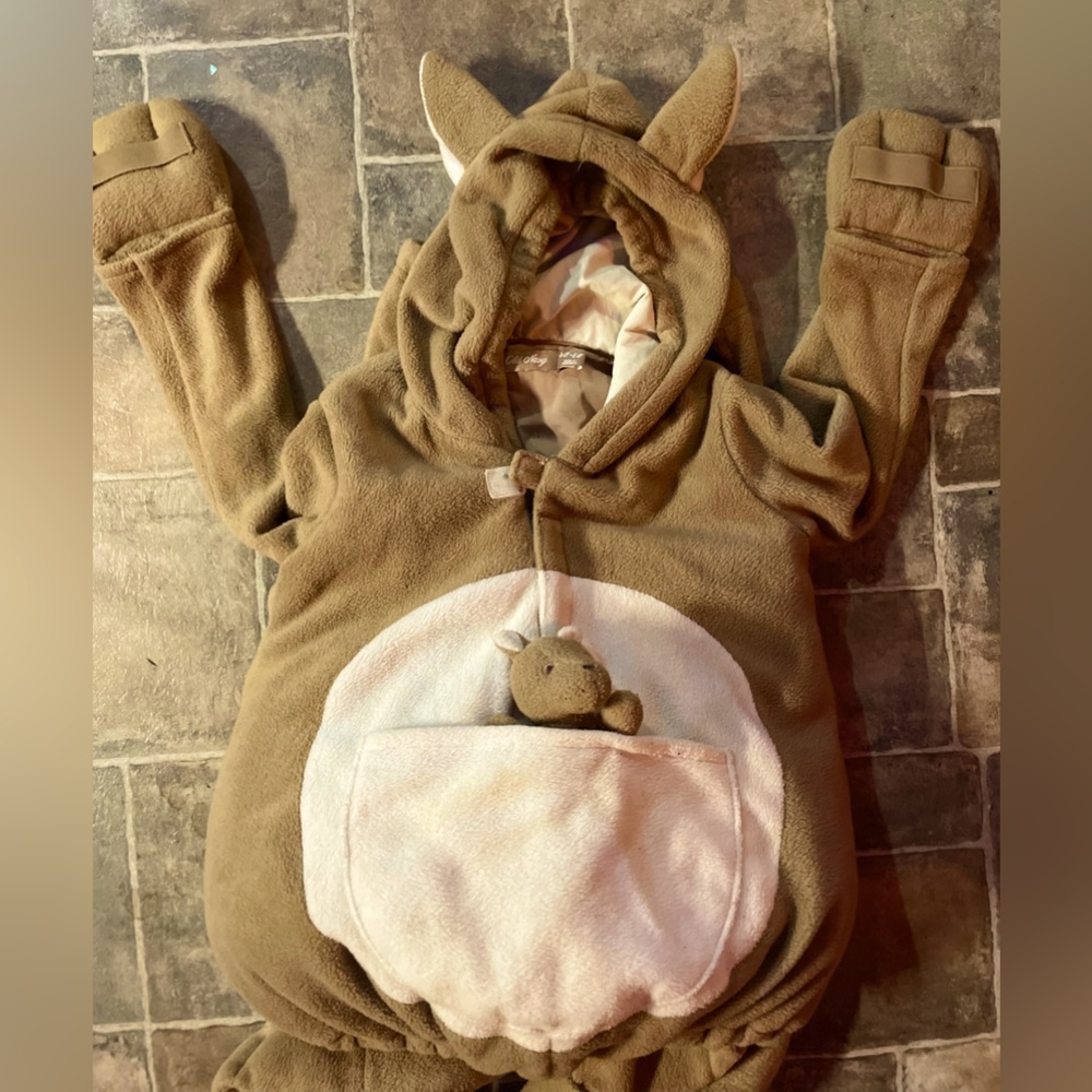 Old navy child’s costume kangaroo super soft and comfortable warm 4-5 toddler
